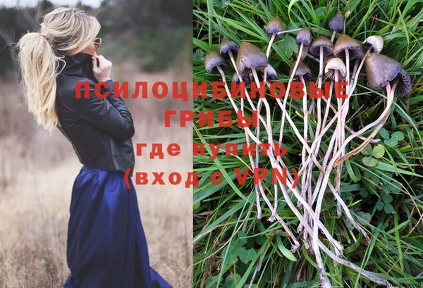 кокс Алзамай