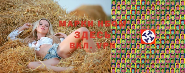 кокс Алзамай